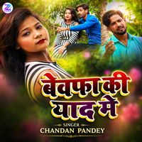 Chandan Pandey - Bewafa Ki Yad Me