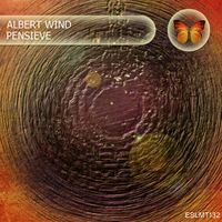 Albert Wind - Pensieve