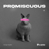 George Heyden - Promiscuous