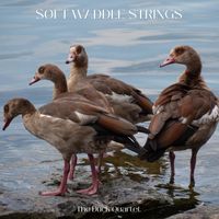 The Duck Quartet - Soft Waddle Strings