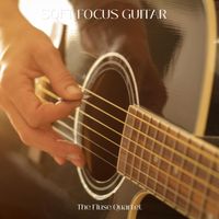 The Fluse Quartet - Soft Focus Guitar
