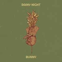 BUNNY - Rainy Night