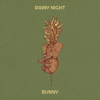 BUNNY - Rainy Night