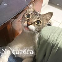 MP - No cuadra