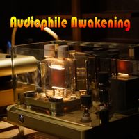 NBR Audiophile - Audiophile Awakening