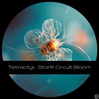 Tetractys - Starlit Circuit Bloom