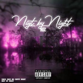 Niz - Night by Night