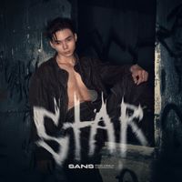SANS - STAR