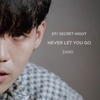 Zang - Never Let You Go