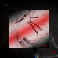 Niz - Why?