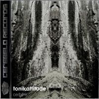 Tonikattitude - Cerbere