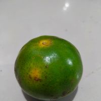 Siti - GUNUNG KAWI GUNUNG SEMERU PIYE KABARMU
