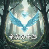 Lily - 奄美の奇跡