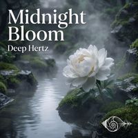 Deep Hertz - Midnight Bloom