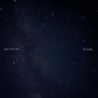 bloom - Galaxies