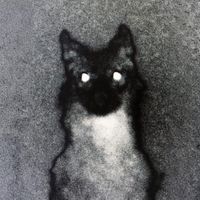 Moonchild - gris.