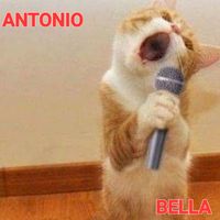 Antonio - BELLA (Explicit)