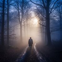 Rune Echo - Flickering Mist Celtic Ambient