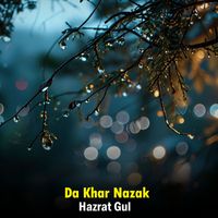 Hazrat Gul - Da Khar Nazak