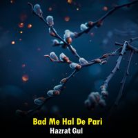Hazrat Gul - Bad Me Hal De Pari