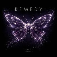 David Edwards - Remedy