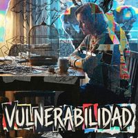 Vlush - Vulnerabilidad