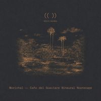 Micro Mundos - Morichal — Caño del Guaviare Binaural Noonscape