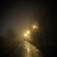 Frost - Meia Noite