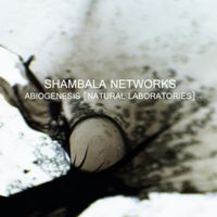 Shambala Networks - Abiogenesis (Natural Laboratories)