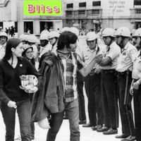 Bliss - Hippies, Cops and a Bunch of Rocks