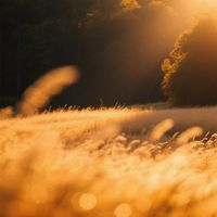 tamu - Warm Drift