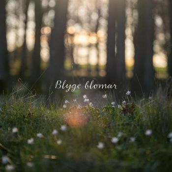 Bjørn Eidsvåg - Blyge Blomar