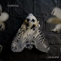 LaLaLand - Exploring