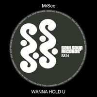 MrSee - Wanna Hold U