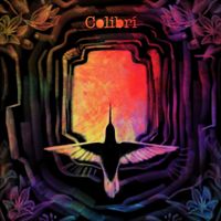 Colibri - Colibrí