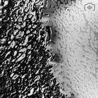 Hourfriend - Veracity Vision