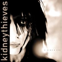 Kidneythieves - Zerospace (Explicit)