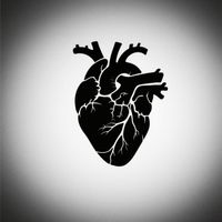 AURA - Fragile Human Heart