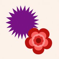 Novo - Thistle & Rose