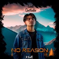 Lost Decibels - No reason