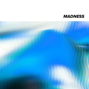 The Crooks - Madness