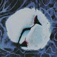 Fetus - D Vertigo