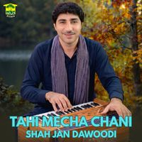 Shah Jan Dawoodi - Tahi Mecha Chani