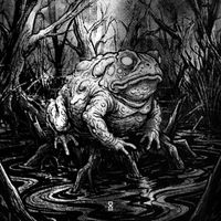 Hexa - Frogsite