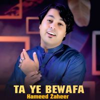 Hameed Zaheer - Ta Ye Bewafa
