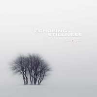 Van.Gao - Echoeing in Stillness