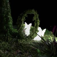 Maud - Lonely Girl