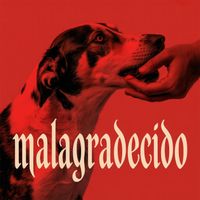ZAZZU - Malagradecido