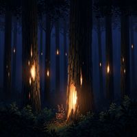 LofiForest - Forest Calm Vibes