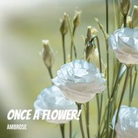 Ambrose - Once a Flower!